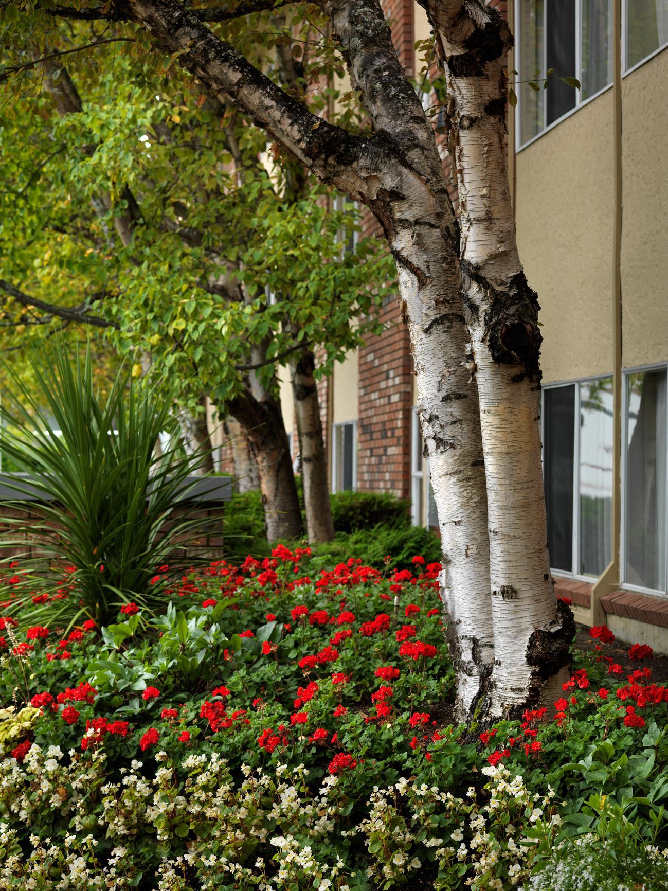 Royal Scot Hotel & Suites Victoria Luaran gambar